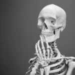 bone-health-physical-therapy-albuqerque-nm