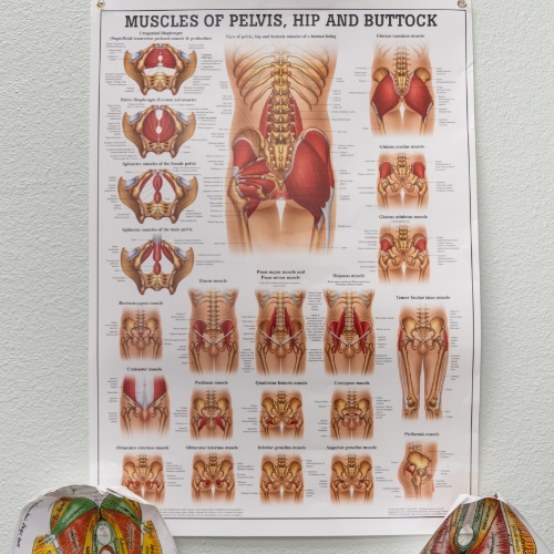 men-and-youth-pelvic-floor-north-valley-Langford-Sports-and-Physical-Therapy-Nob-Hill-North-Valley-Albuquerque-NM