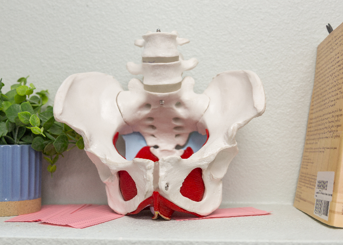 mens-pelvic-health-homepage-specialties-langford-sports-physical-therapy-albuqerque-nm